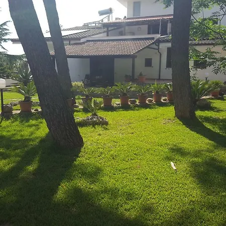 Solepineta *